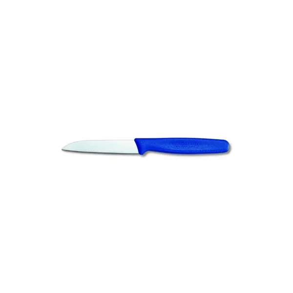 Victorinox Paring Knife Straight Blade Blue 5.0402