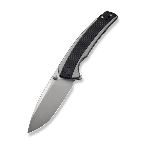 CIVIVI C20036-3  Teraxe Folding Knife, Stainless + Black G10