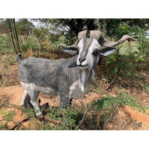 Wildcrete Australian Feral Goat 3D Archery Target WC-380