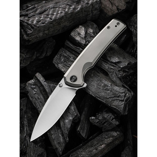 WE KNIFE We21014C-1  Subjugator Folding Knife