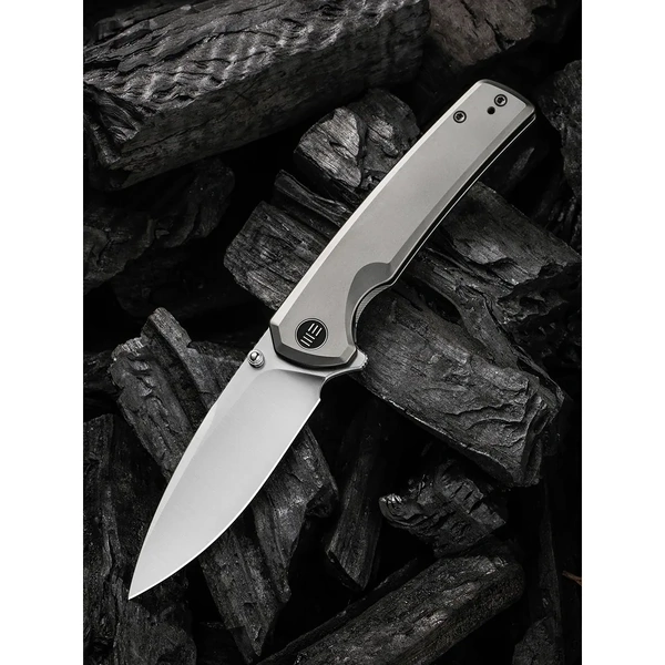 WE KNIFE We21014C-1  Subjugator Folding Knife